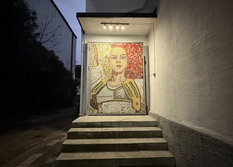 Instalacioni i gruas pa flokë në fasadën e Muzeut Kombëtar vendoset në Arkivin Qendror të Filmit