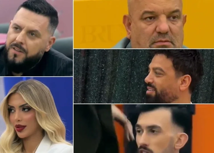 Kush shkëlqeu dhe kush jo në vitin 2025: Një vit kontrastesh në ekran, politikë dhe rrjete sociale